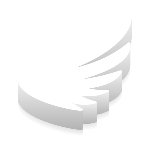 Wing icon